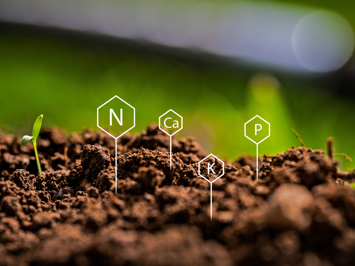 Soil test and analysis